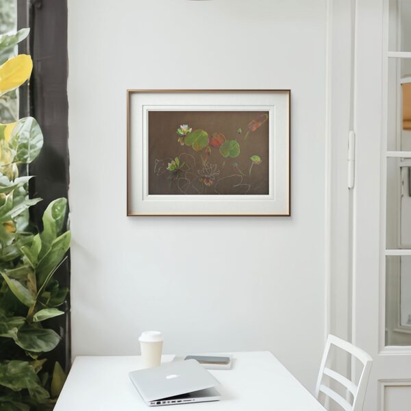 "A Water-lily Pond" Pencil on paper Size: 50 x 70 cm, 2007