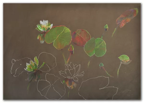 "A Water-lily Pond" Pencil on paper Size: 50 x 70 cm, 2007